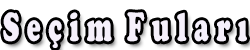 Seçim Fuları Logo